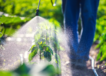 Unravelling the link between pesticide exposure and Parkinson’s disease
