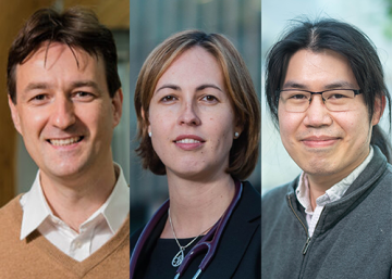 Three UBC Medicine researchers awarded funding through New Frontiers in Research Fund