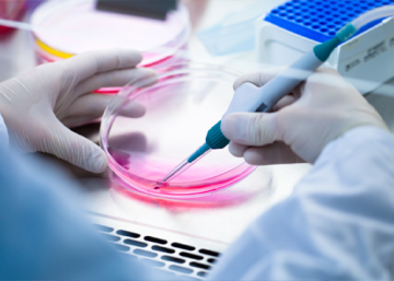 Accelerating stem cell research