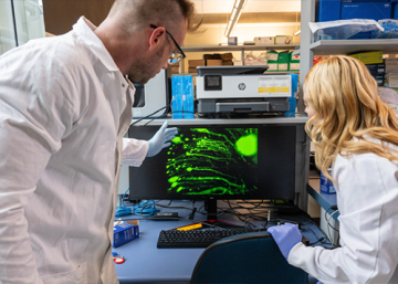 Meet the newly discovered brain cell that allows you to remember objects